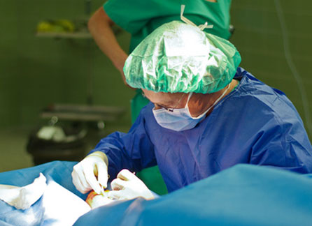 Herniated Disc Surgery Herniated Disc Surgery